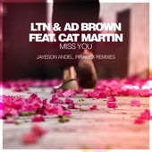 Miss You (feat. Cat Martin) [Jayeson Andel Remix] artwork