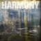 Class Action - Harmony lyrics