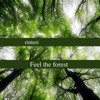 Feel the forest