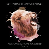 Sounds of Awakening Vol.2 artwork