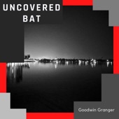 Uncovered Bat artwork