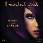 Oriental Soul, Vol. 1 (Selected by Papa DJ) - Various Artists