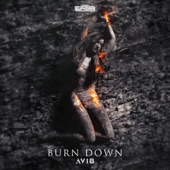 Burn Down (Extended Mix) artwork