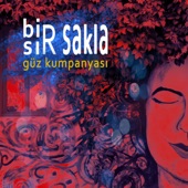 Bir Sır Sakla artwork