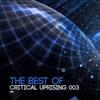 The Best of Critical Uprising 003