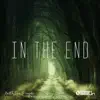 In the End - Single album lyrics, reviews, download