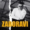 Aleksandar Tarabunov - Zaboravi