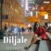 Stream & download Diljale (Ek Din Reprise) [feat. Crehyl Pereira] - Single