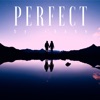 Perfect - Single