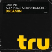 Dreamin (Radio Mix) artwork