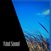 Wind Sound artwork