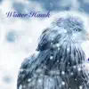 Winter Hawk (feat. Clare Steffen) - Single album lyrics, reviews, download