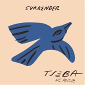 Surrender (feat. PRICIE) artwork