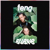 Feng Suave - Sink into the Floor