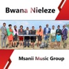 Bwana Nieleze