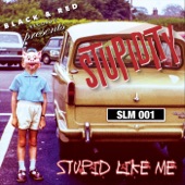 Stupidity - Stupid Like Me (feat. Keith Streng)