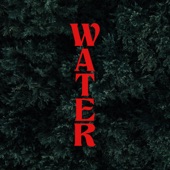 Water (feat. Betty Michaels, BrandonLee Cierley & Safeplace) artwork