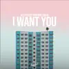 Stream & download I Want You - Single