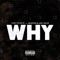 Why (feat. Kolyon & ApgTech) - Rude Boy lyrics