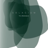 Solacium artwork