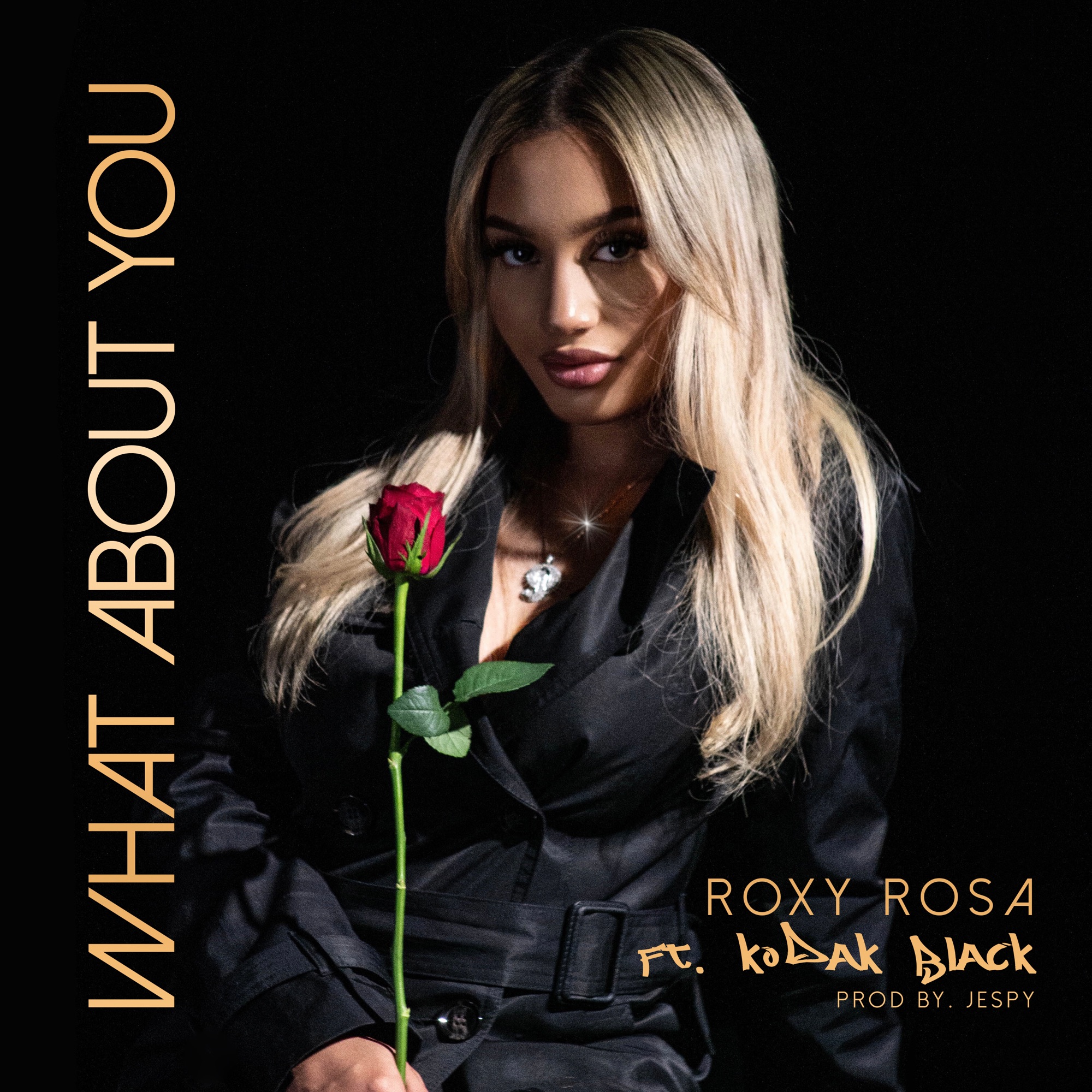 Roxy Rosa & Kodak Black - What About You - Single