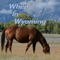 When in Wyoming - UgglyBoyBeats lyrics