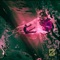 Karambit (Sheep and Wolves) (feat. WhoJ3x) - BLKZEN lyrics