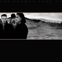 THE JOSHUA TREE - THE DELUXE EDITION cover art