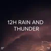 !!!" 12h Rain and Thunder "!!! album lyrics, reviews, download
