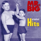 Mr. Big - Just Take My Heart (Remastered LP Version)