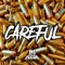 Careful - We Are The Flesh lyrics