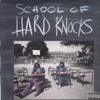 School of Hard Knocks