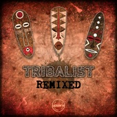 Tribalist (Djapatox Remix) artwork