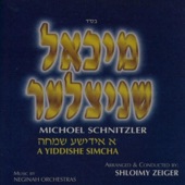 די טרייסט פון א מאמע artwork