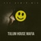 Tulum House Mafia (Organic House Mix) artwork