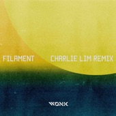 Filament (Charlie Lim Remix) artwork