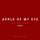 Apple of My Eye (feat. DSS & Velody Riddimz) artwork