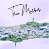 Sounds Like Sander - True Mirror