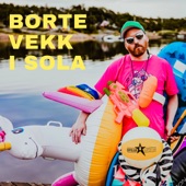 Borte Vekk I Sola artwork