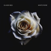White Rose artwork