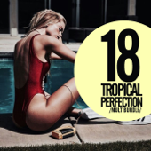 18 Tropical Perfection Multibundle - Various Artists