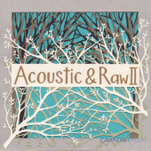 Acoustic & Raw, Vol. 2 - Cavendish Music