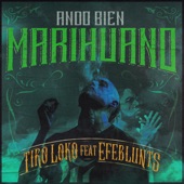 Ando Bien Marihuano (feat. Efeblunts) artwork