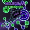 Molecular Express - Single