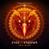 Flegma - Sun Bird (Zyce vs. Flegma)
