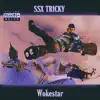 Ssx Tricky - Single album lyrics, reviews, download