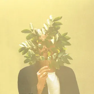 French Kiwi Juice by FKJ album reviews, ratings, credits