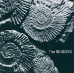 A Certain Someone by The Sundays