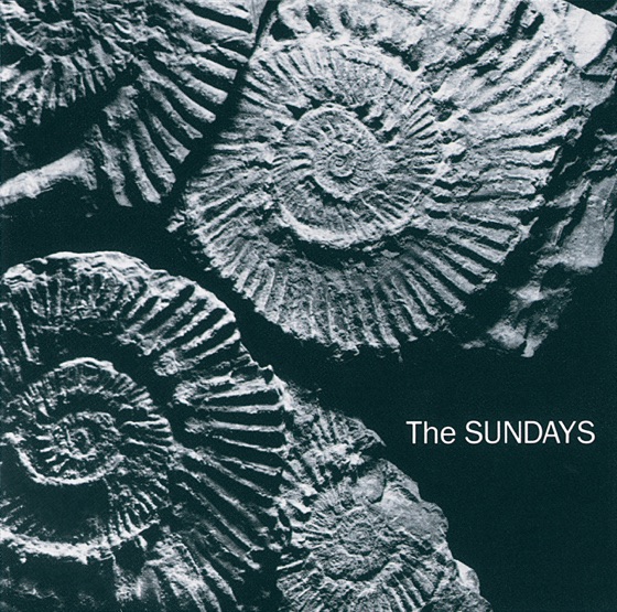 Cover artwork for Joy