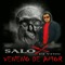 Veneno De Amor (feat. DJ Ving) - Salo lyrics